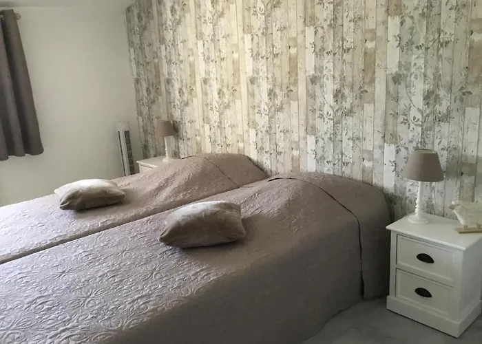 马斯奥兹尔度假屋 Le Martinet (Gard)